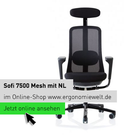 https://www.ergonomiewelt.de/konfiguriert/1578/Sofi-7500-Mesh-Starter.html Shop